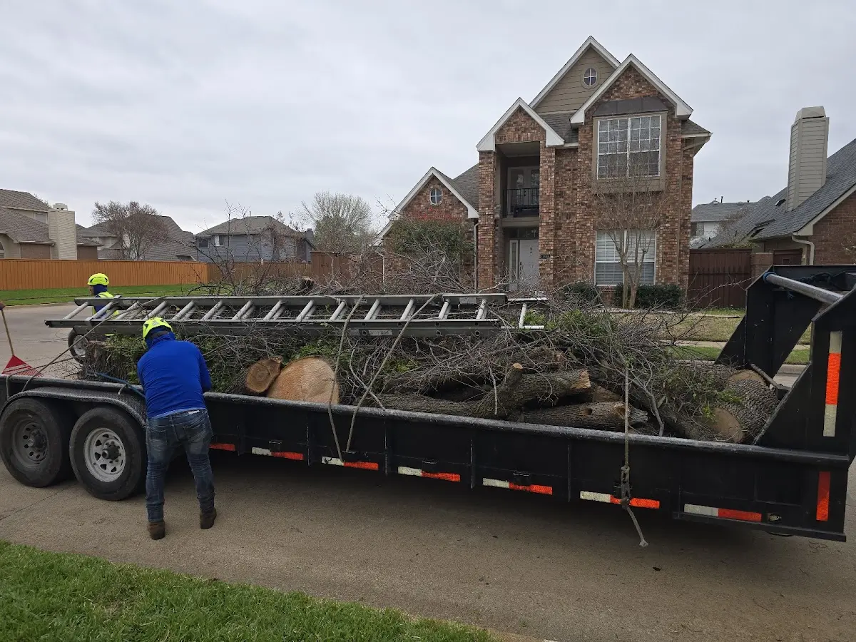 Expert Tree Removal with proper safety equipment in Lewiston